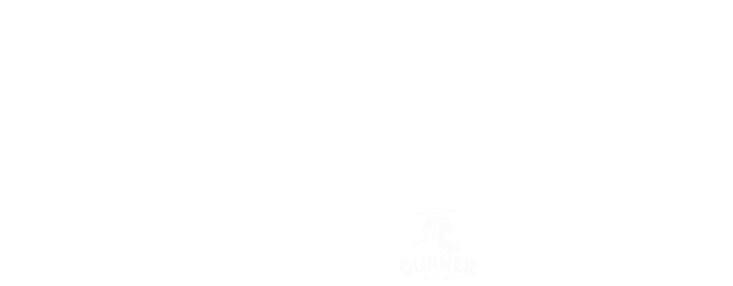 PepsiCo corporate logo in white