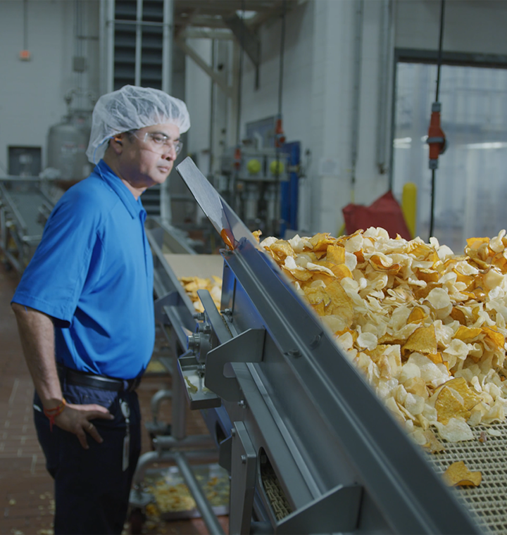 Person inspecting potato chips on a conveyor belt