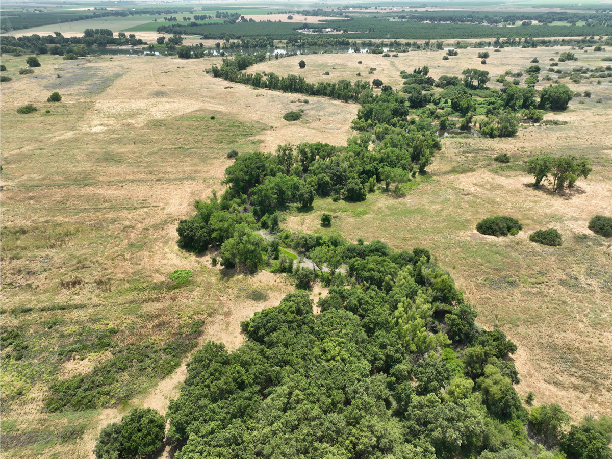 Overhead view near the Feather River in Northern California.