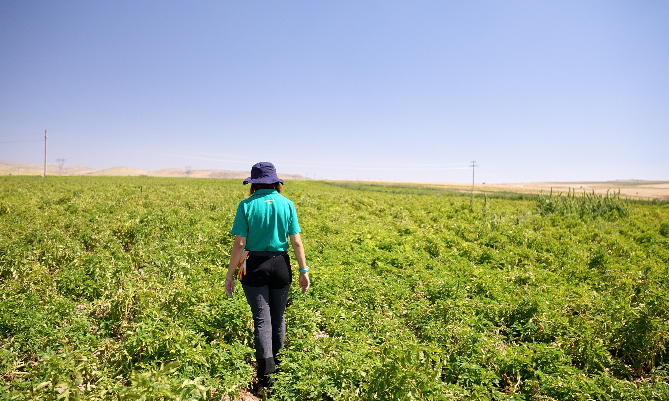 Female farmer walks through green field of crops