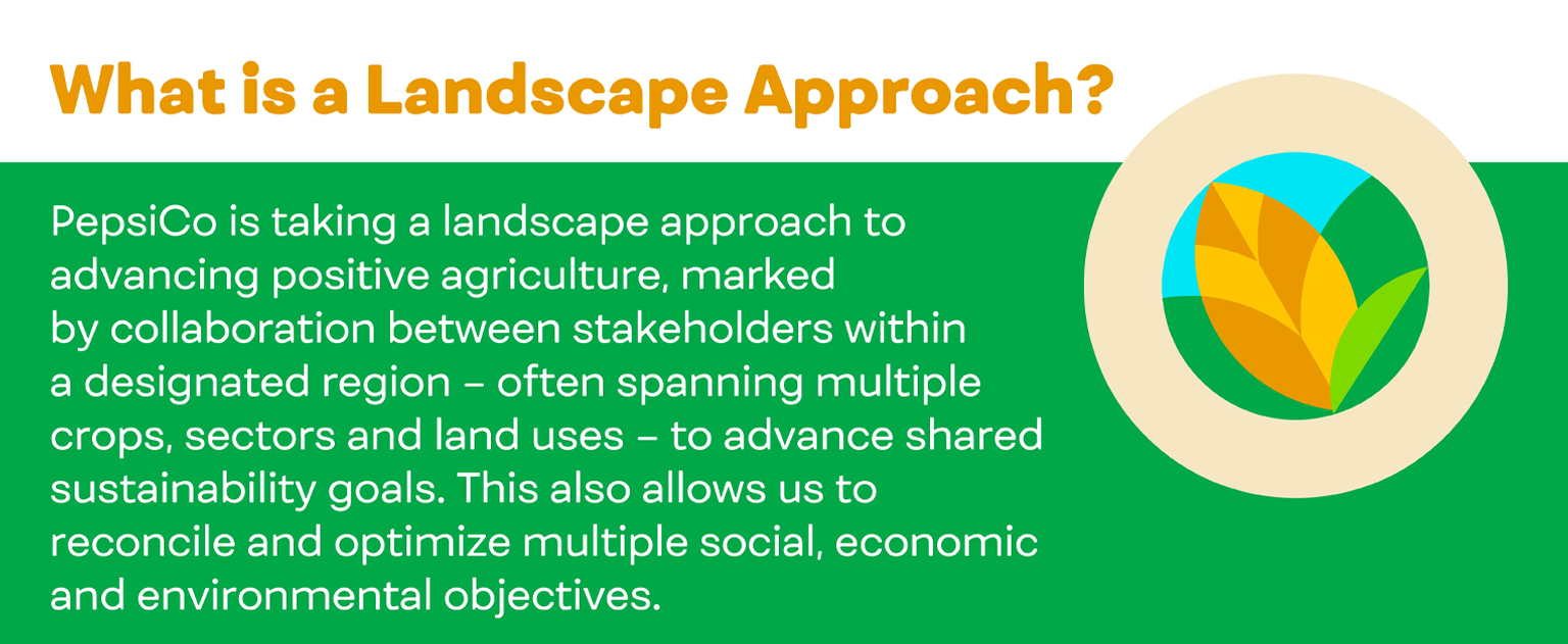 What is a Landscape Approach? PepsiCo is taking a landscape approach to advancing positive agriculture, marked by collaboration between stakeholders within a designated region to advance shared sustainability goals.